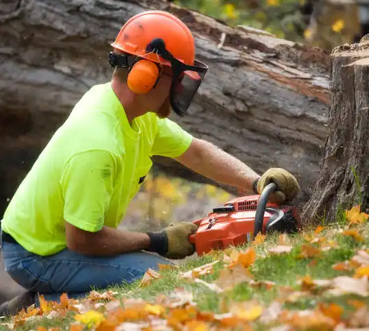 tree services Carleton